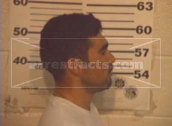 Nelson Guzman Ramos