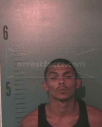 Michael Adam Menjares