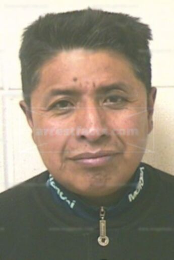 Wilfred Torres-Fernandez