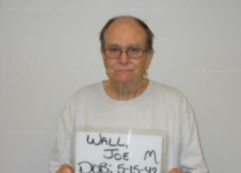 Joe M Wall