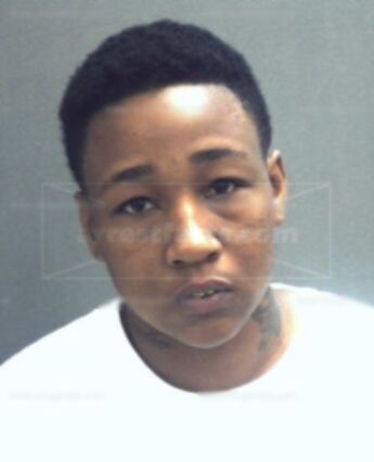 Lashunda Nicole Lewis