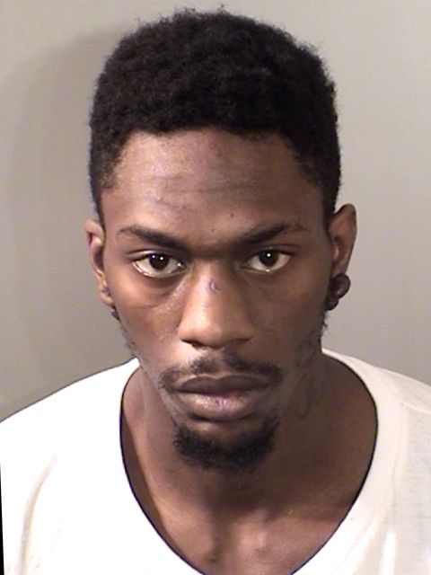 Leroy E Williams Jr.