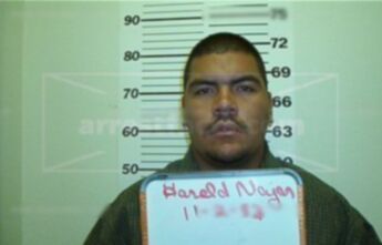Harold Najar