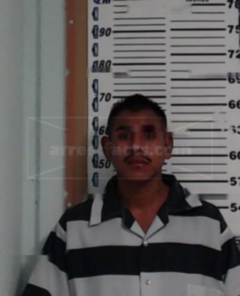 Nelson Martinez-Juarez