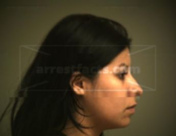 Karina Castellon Quintanilla