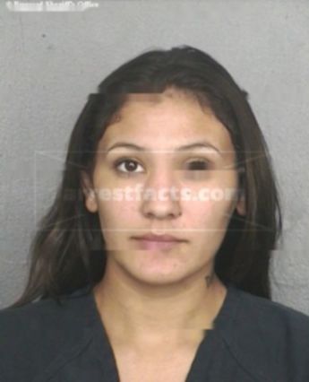 Amelia Renee Sanchez