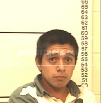 Nicolas Flores Hernandez