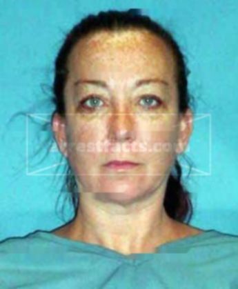 Christine Ann Mcelroy