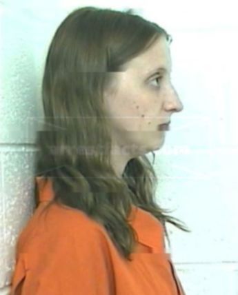 Terri L Wolf