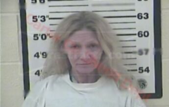 Brenda Ann Mobley