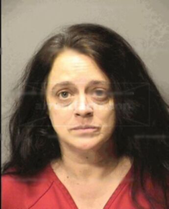 Tonya Diane Kleine