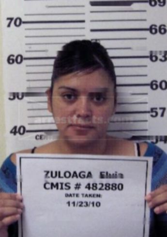 Elvia J Zuloaga