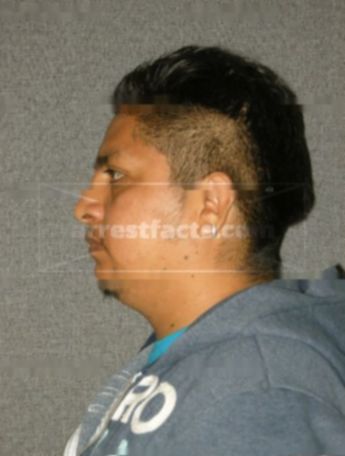 Victor H Perez-Gonzalez