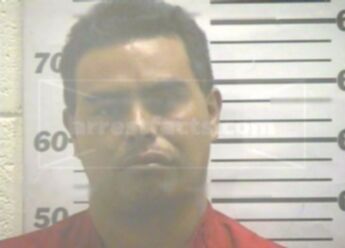 Nestor J Martinez