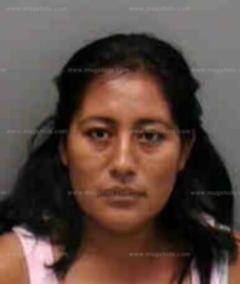 Angelica Jose Antonio