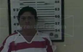 Cynthia Ann Andes