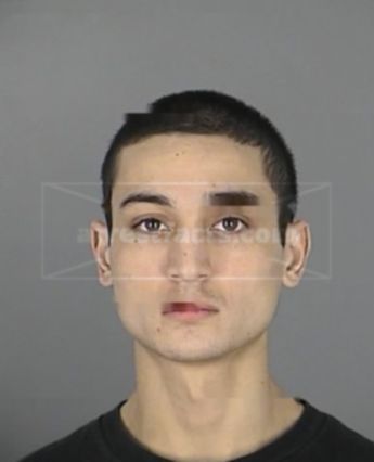 Joshua Halley Liebgold