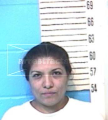 Delores Castro Flores