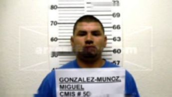 Miguel Gonzalez-Munoz