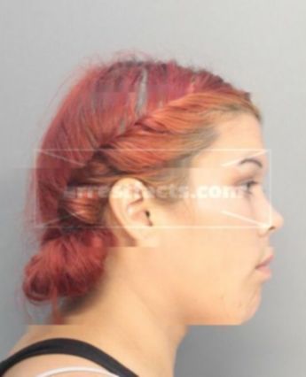 Kessara Ann Mikkelson