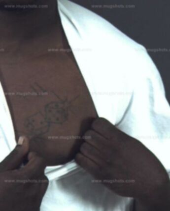 Derrick Terrell Williams