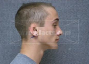 Tyler J Hansen