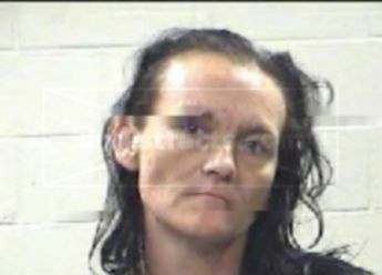 Rachel Lynn Pomtree