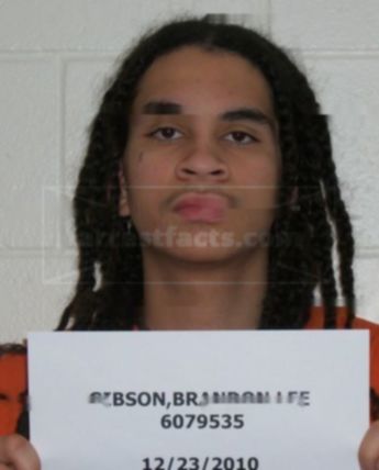 Brandon Lee Gibson