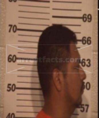 Pablo Grace Medina