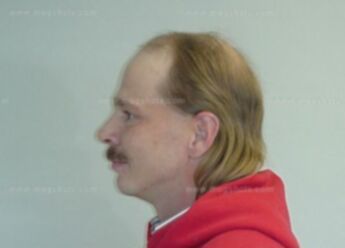Wayne J Marotz