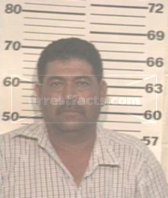 David Torres Silva