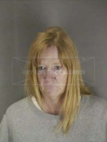 Robin Lee Brisson