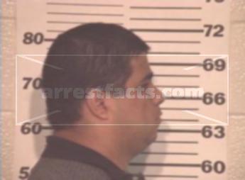 Raul Flores Mendiola