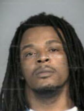 Terrence M Patterson