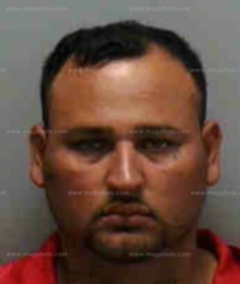 Roy J Garcia