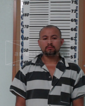 Natividad Martinez-Sandoval