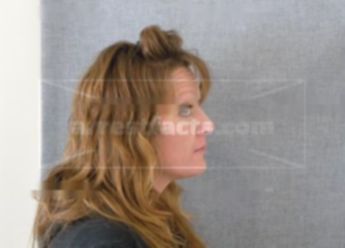 Lori L Laine
