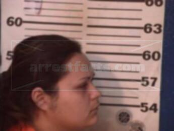 Patricia Ann Villarreal Salas