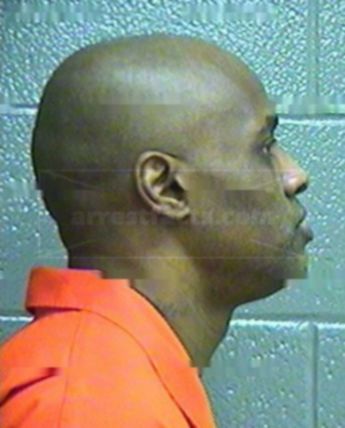 Timothy B Davis