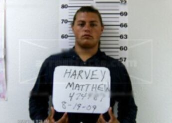 Mathew Harvey