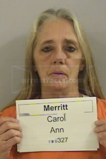 Carol Ann Merritt