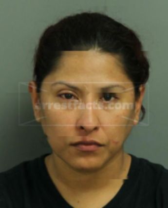 Catalina Garcia-Flores