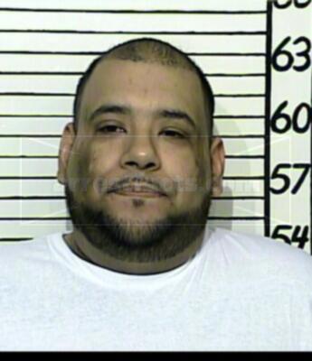 Robert G Ortega