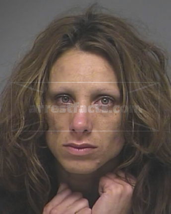 Amy Renea Debord