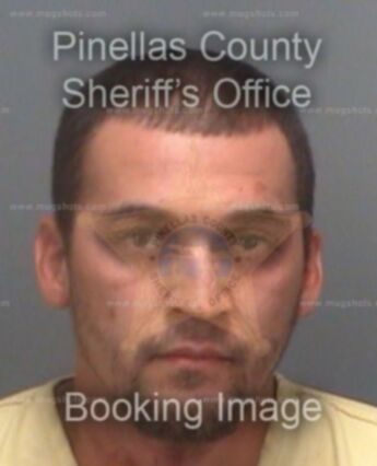 Steven Patrick Hamilton