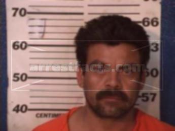 Martin Gamez Alvarez