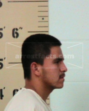 Ricardo Enrique Torres-Soto