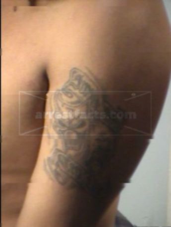 Jose Roman Rodriguez