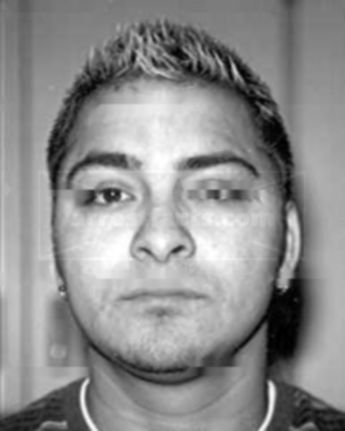 Daniel Villarreal