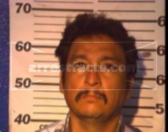 Armando Ramirez Gonzalez